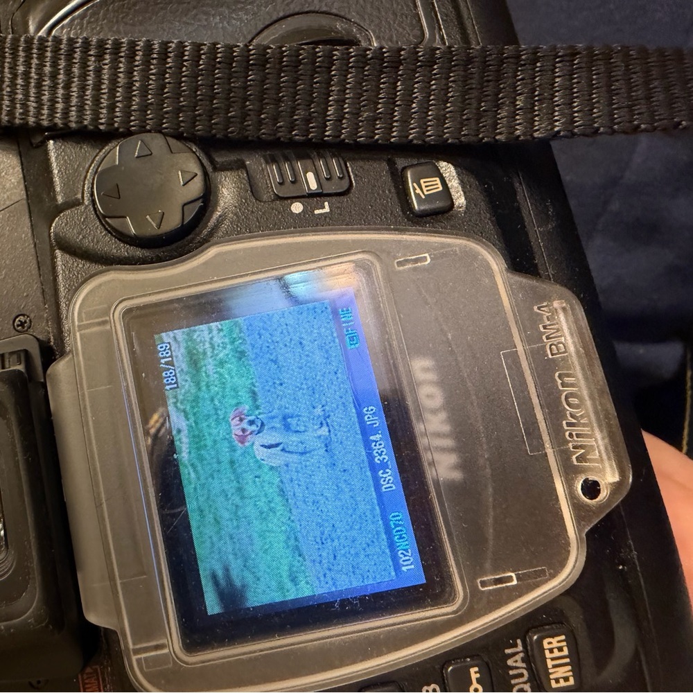 Nikon Black Digital Camera with LCD Display